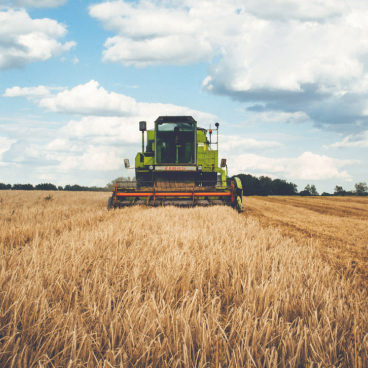 Agro Support Loan